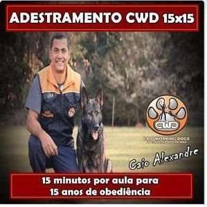 ADESTRAMENTO CWD 15X15 Qual o Melhor Curso