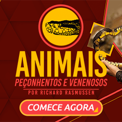 Curso Animais Peçonhentos Richard Rasmussen Qual o Melhor Curso