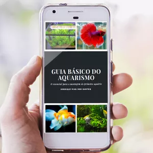 Guia Básico do Aquarismo: Seu Manual Completo para um Aquário de Sucesso Qual o Melhor Curso