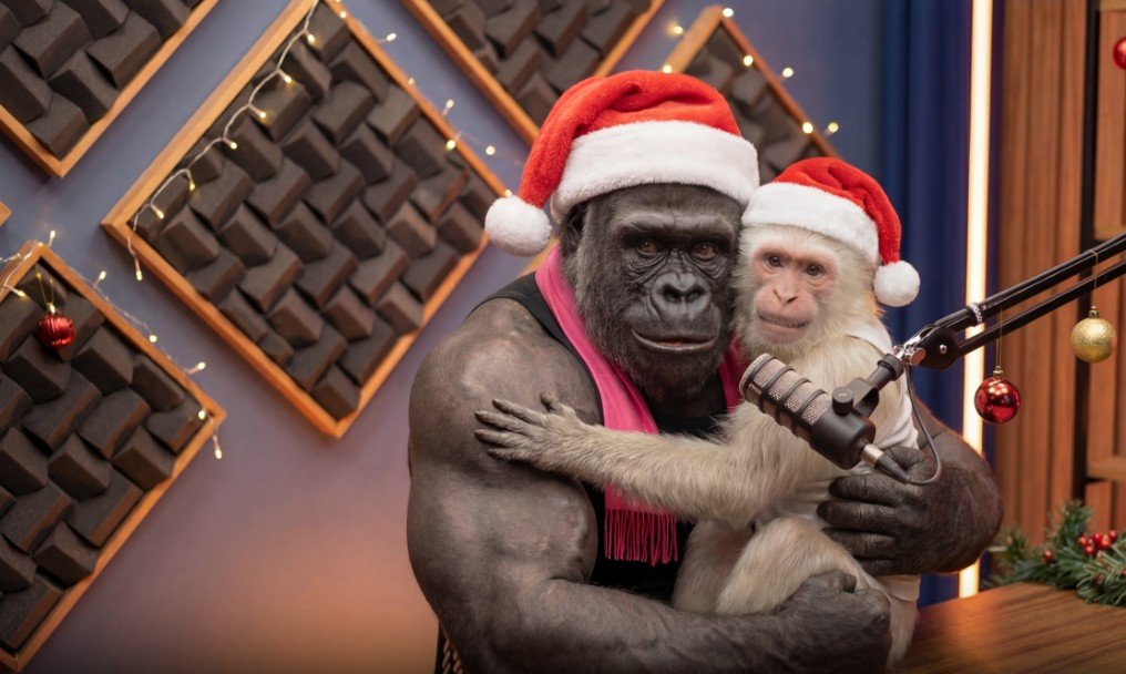 Detalhes Curso GorilaCast 2026 – Vale a Pena Aprender a Criar Vídeos Virais com IA e Ganhar em Dólar? Qual o Melhor Curso